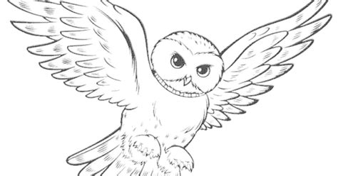 coloring pages kids baby owl coloring pages  print