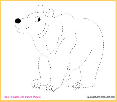 tracing  printable bear tracing picture