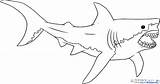 Shark Coloring Megalodon Great Pages Drawing Outline Bull Realistic Cartoon Print Color Printable Line Jaw Sketch Sharks Paintingvalley Clipart Kids sketch template