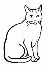 Cat Printable Coloring Sitting Computer Right Click sketch template
