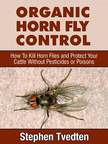 organic horn fly control how to kill horn flies and protect your cattle
