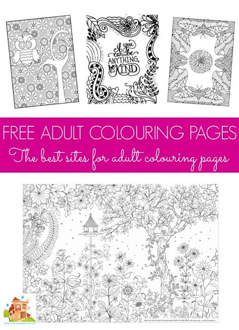 coloring pages images  pinterest patterns drawings