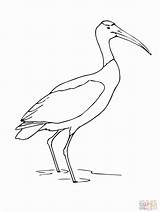 Stork sketch template