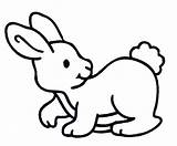 Rabbit Conejos Konijnen Kaninchen Konijn Ausmalbilder Kelinci Malvorlagen Hase Mewarnai Animasi Lapins Bergerak Lapin Ausmalen Hasen Coelho Colorare Colorier Coloriage sketch template
