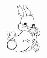 Coloring Pages Rabbit Realistic Bunny Getcolorings sketch template