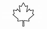 Maple Leaf Outline Clipart Canadian Canada Flag Coloring Tattoo Fall Toronto Simple Colouring Pages Mewarnai Outlines Tattoos Clipartbest Clip Printable sketch template