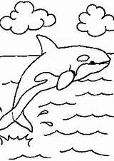 Coloring Pages Shamu Killer Sea Whale Easy Cliparts Library Clipart Orca Getcolorings Color Printable Water Getdrawings sketch template