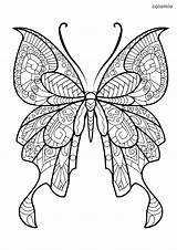 Schmetterling Malvorlage Mandala Waldtiere Ausmalbilder Happycolorz Ausmalbild Schmetterlinge sketch template