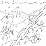 Fish Coloring Pages Drawing Colouring Printable Line Clip Chain Animal Striped Desenho Kindergarten 2010 Cartoon Tank Seipp Dave Drawn Print sketch template