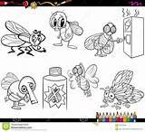 Flies Cartoon Coloring Set Illustration Stock Vector Insect Preview sketch template