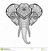 Coloring Elephant Pages Zentangle Adult sketch template