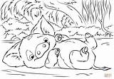 Moana Coloring Pages Pig Pua Incredible Playing Print Little Color Kids Children sketch template