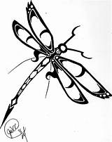 Dragonfly Dragonflies Libellule Lung Hsien Coloriages sketch template