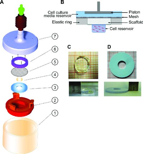 assembling   cartridge components   sketch shows parts    scientific