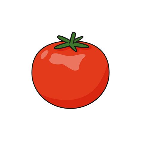 ilustracion vectorial de tomate rojo dibujada en estilo de dibujos