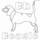 Beagle Coloringfolder sketch template