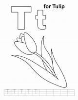 Alphabet Tulipe Coloriages Lowercase Coloriage Sheets sketch template