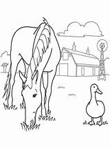 Horse Coloring Eating Pages Grass Kids Printable sketch template