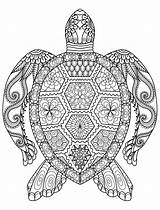 Turtle Sea Coloring Pages Color Drawing Printable Getdrawings sketch template