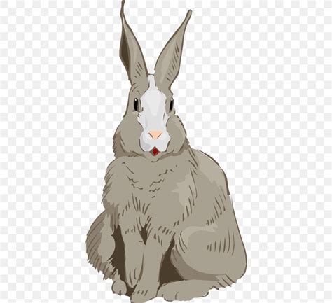 hare clip art cottontail rabbit vector graphics png xpx hare
