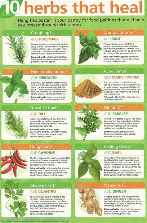 list  herbs