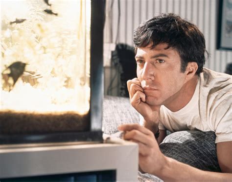 why do we love “the graduate” the new yorker