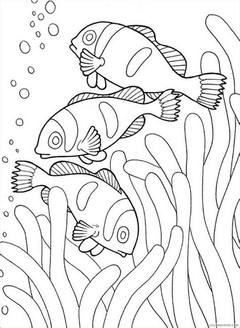 clown fish coloring pages coral reef fishes  printable