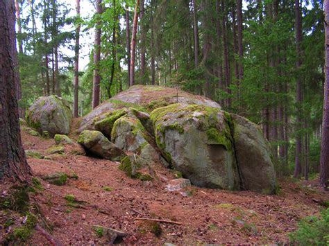 images tree rock wilderness trail stone jungle park deciduous boulder woodland