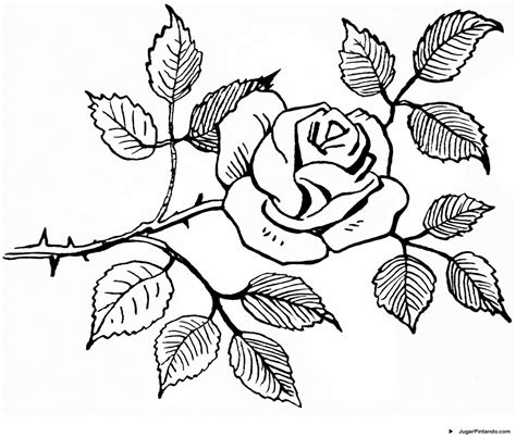 dibujos de rosas  colorear buscar  google coloring pages