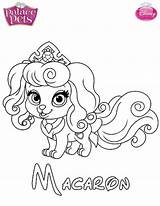 Macaron Mascota Mascotas Dibujalandia sketch template