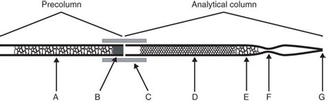 diagram   capillary column utilized   nanoflow lc  scientific diagram