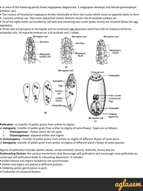important notes of biology for neet sexual reproduction