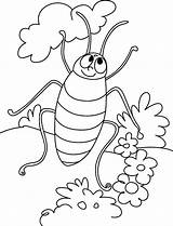 Coloring Cockroach Pages Printable Cartoon Kids Shiva Color Bestcoloringpagesforkids Getcolorings Print sketch template