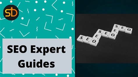 expert guide  questions    seos  hiring