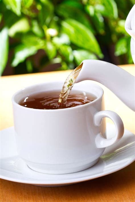 pouring tea stock image image  liquid refreshment