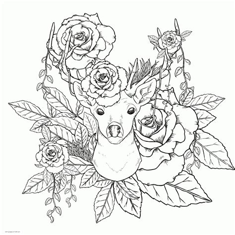 medium animal coloring pages