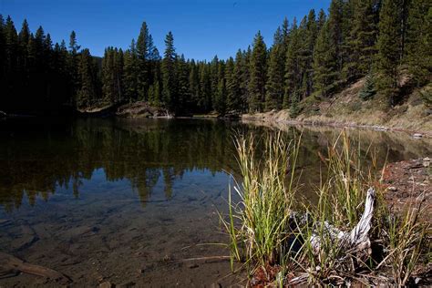 hiking moose lake loop   jasper national park