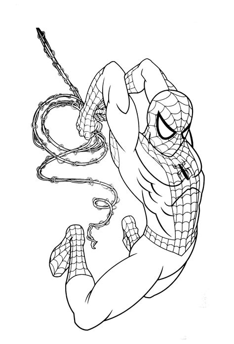 spiderman   color  children spiderman kids coloring pages