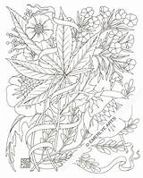 Coloring Pages Marijuana Adults Trippy Clipart sketch template