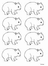 Wombat Stew Activities Drawing Animals Crafts Craft Preschool Activity Kids Teaching Education Australia Indigenous Science Animal Templates Paper Australian Storytime sketch template