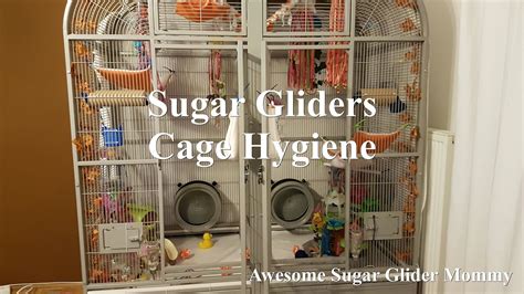 big   sugar glider cage  large ferret cage chinchilla rabbit hamster guinea pig