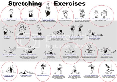 exercises exercises examples