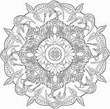 Coloring Nature Pages Mandalas Mandala Print Adults Printable Book Color Adult Colouring Painting Kids Volwassenen Voor sketch template