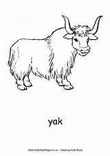 Yak Cattle Activityvillage sketch template