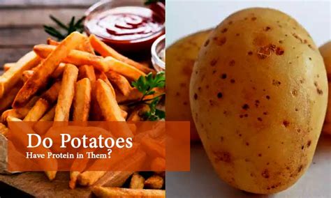 do potatoes have protein in them myths debunked