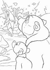 Bear Brother Coloring Pages Book sketch template