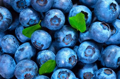 health benefits   blueberry