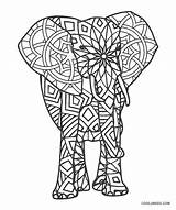 Elefant sketch template