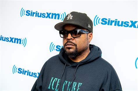 ice cube shares george carlin quote  politicians