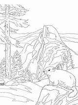 National Park Coloring Yosemite Parks Fun Kids Votes sketch template